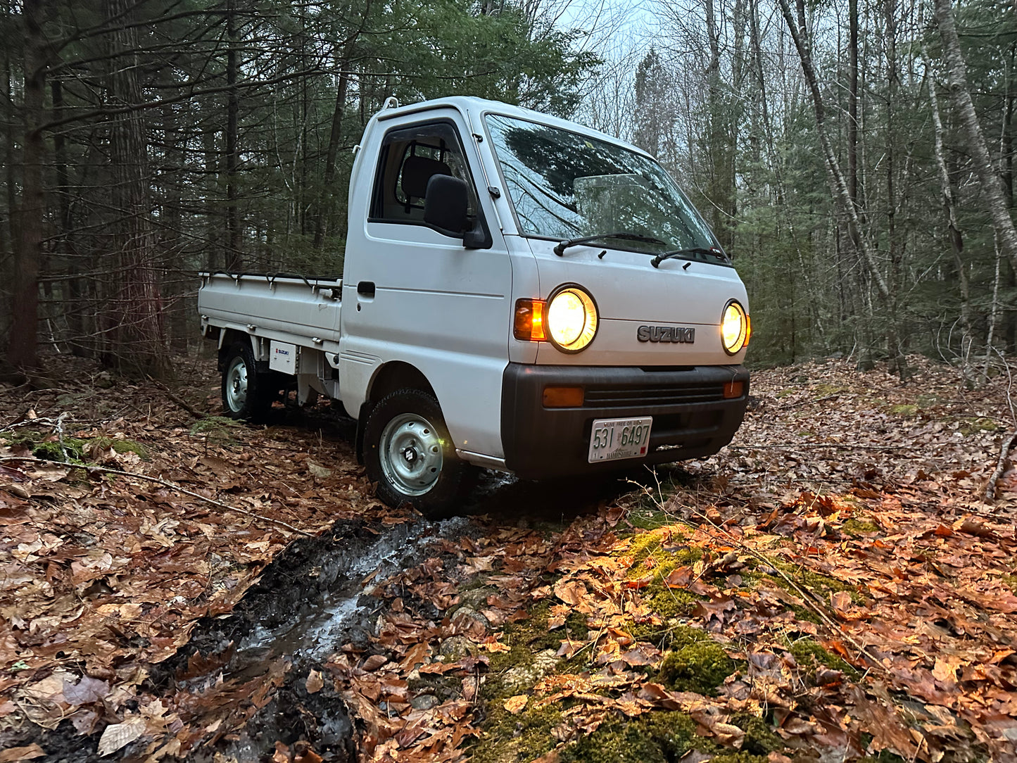 Suzuki Carry center caps